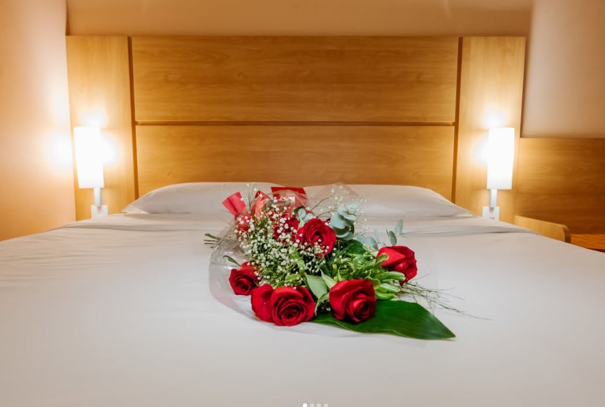 Ibis Hotel - Novo Hamburgo